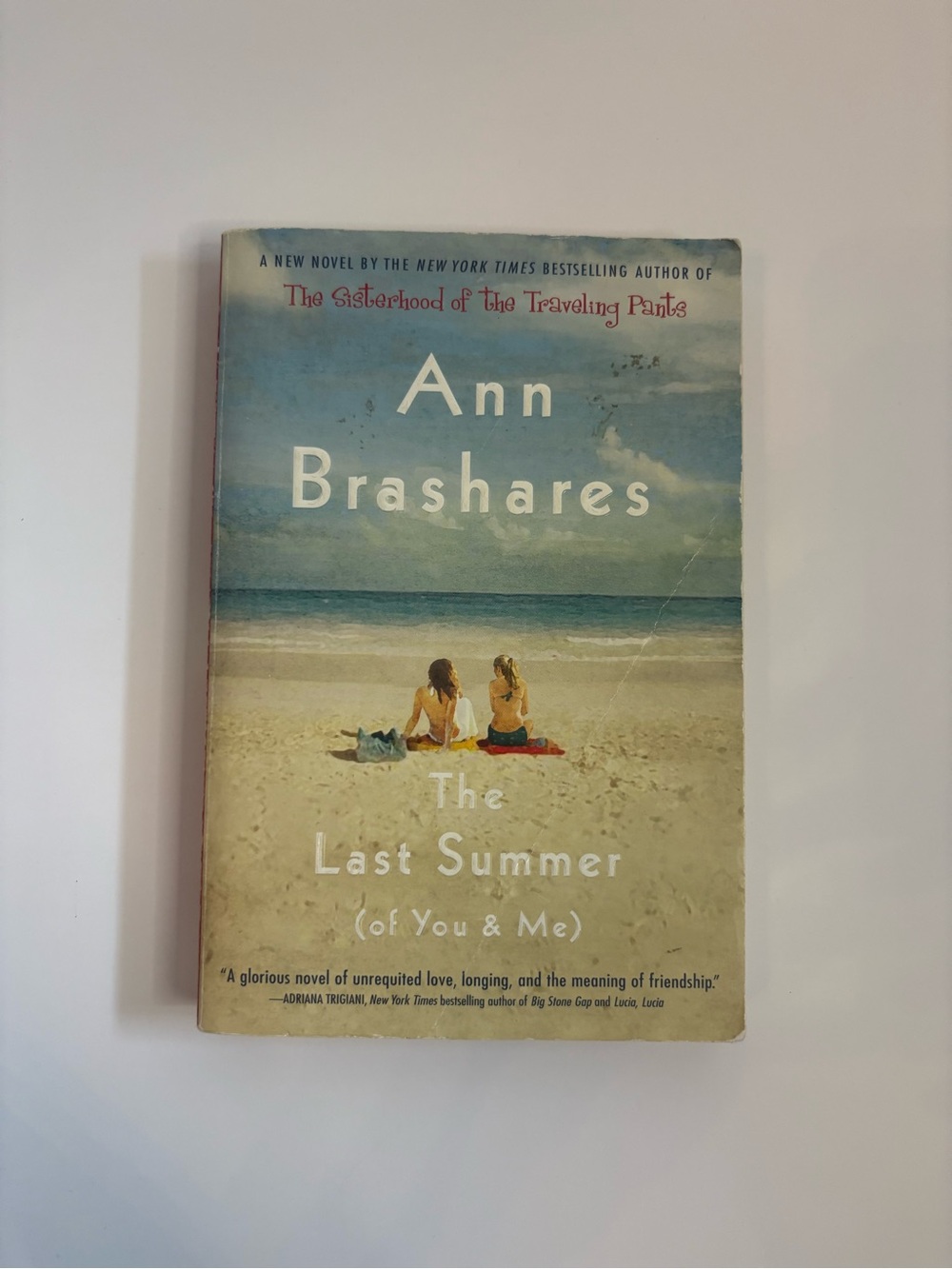 3/$20 The Last Summer (of You & Me) - Beach Scene Paperback, Blue and Tan